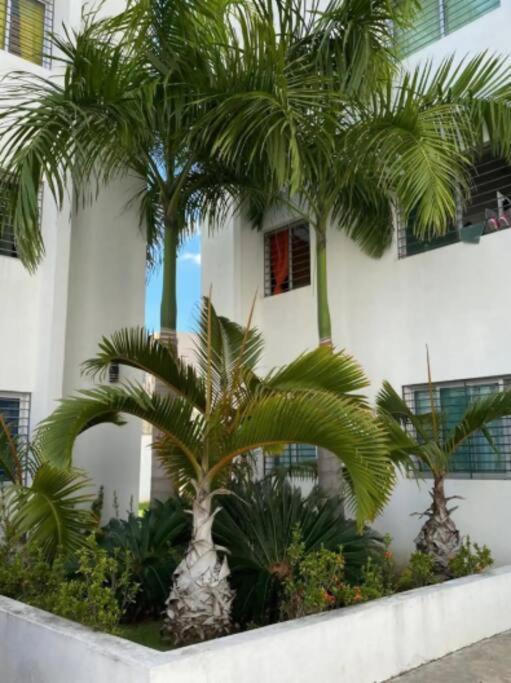 1er piso, 3 Habitaciones con piscina wifi, netflix Santiago De Los Caballeros Esterno foto