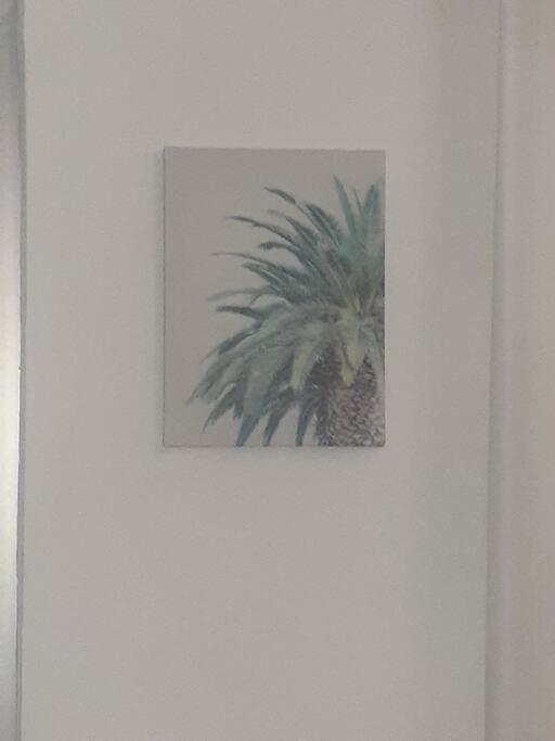 1er piso, 3 Habitaciones con piscina wifi, netflix Santiago De Los Caballeros Esterno foto