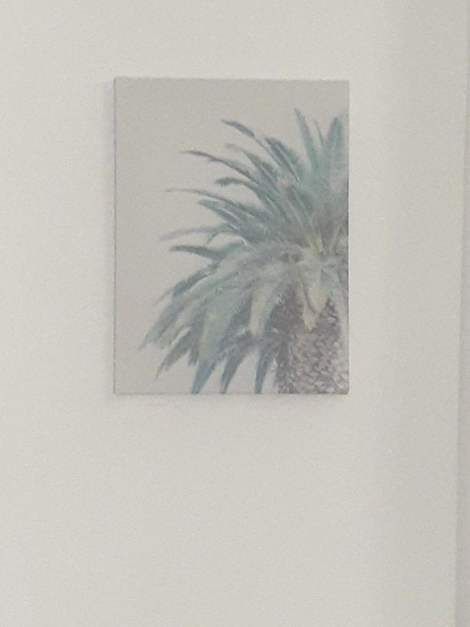 1er piso, 3 Habitaciones con piscina wifi, netflix Santiago De Los Caballeros Esterno foto